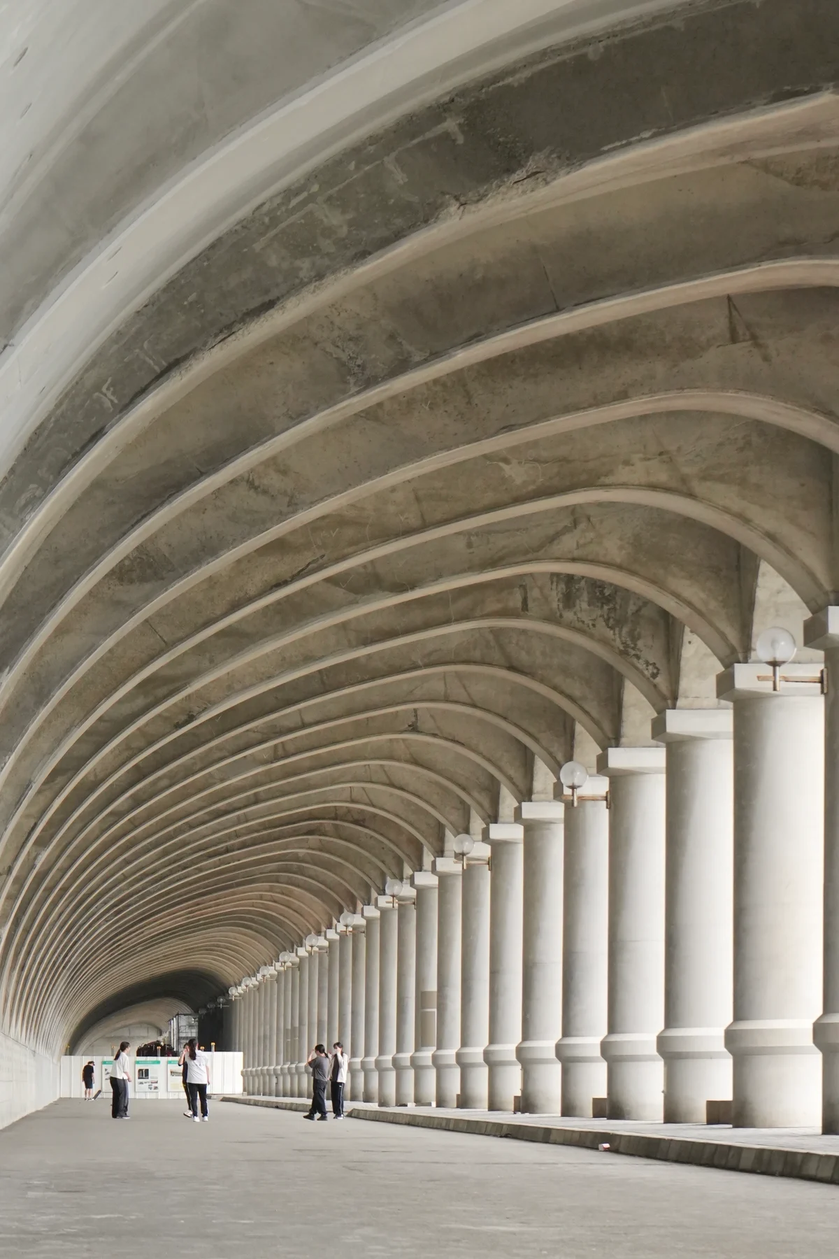 圖片 (_DSC6407.jpeg)