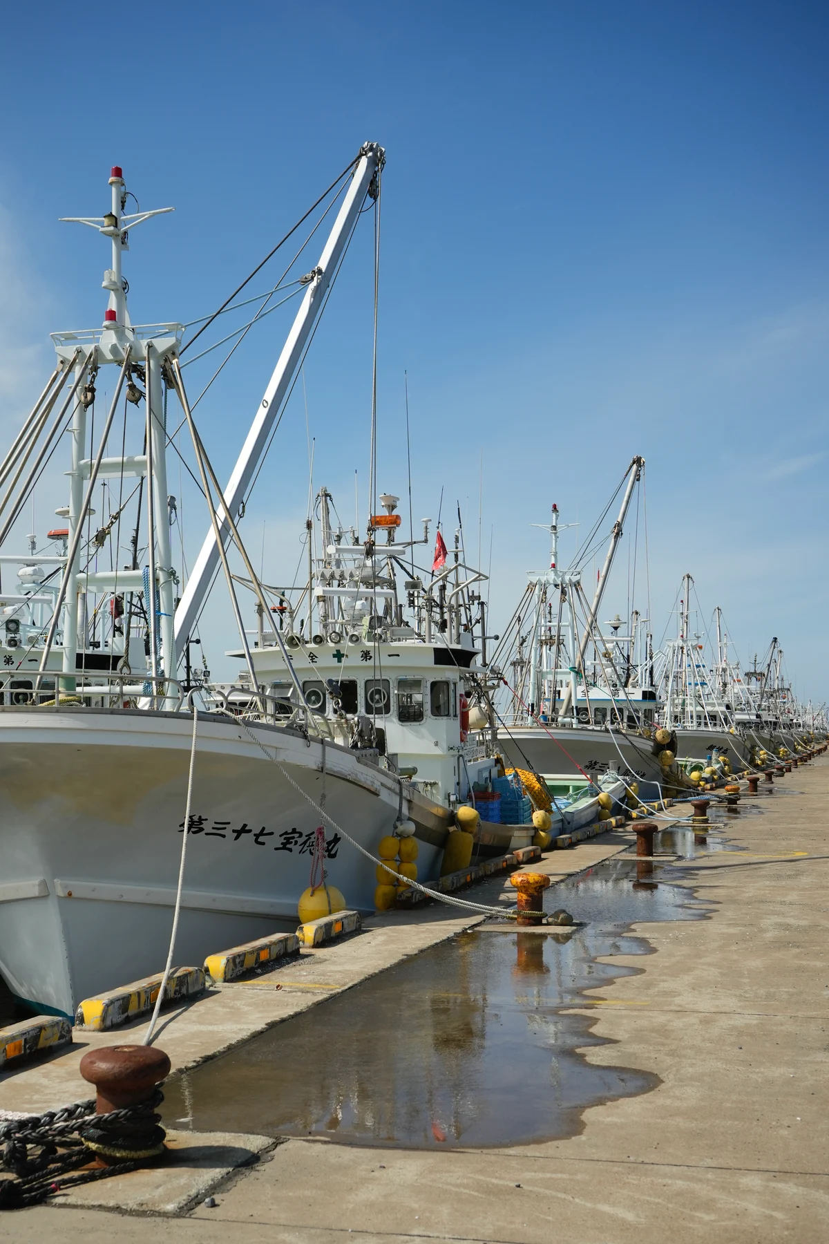 圖片 (_DSC5818.jpeg)