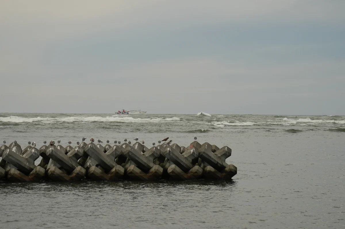 圖片 (_DSC6510.jpeg)