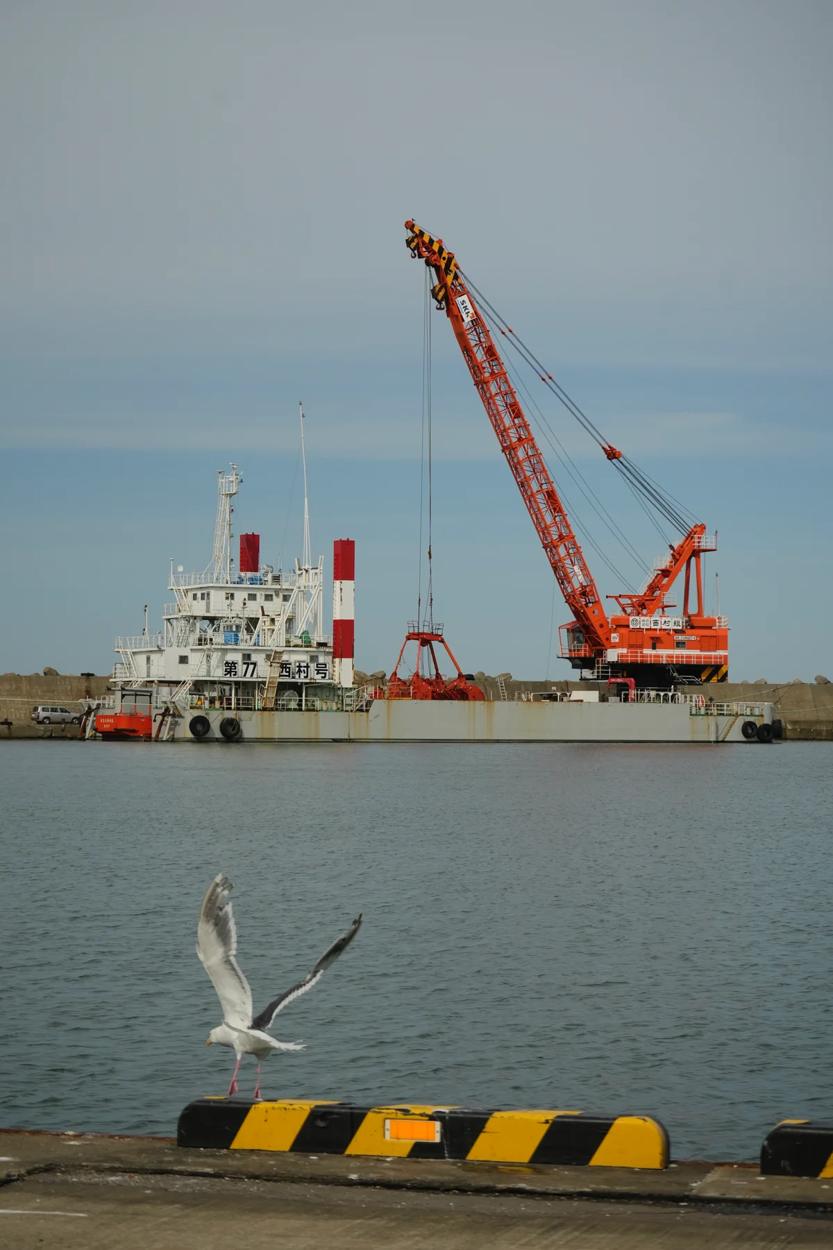 圖片 (_DSC6108.jpeg)