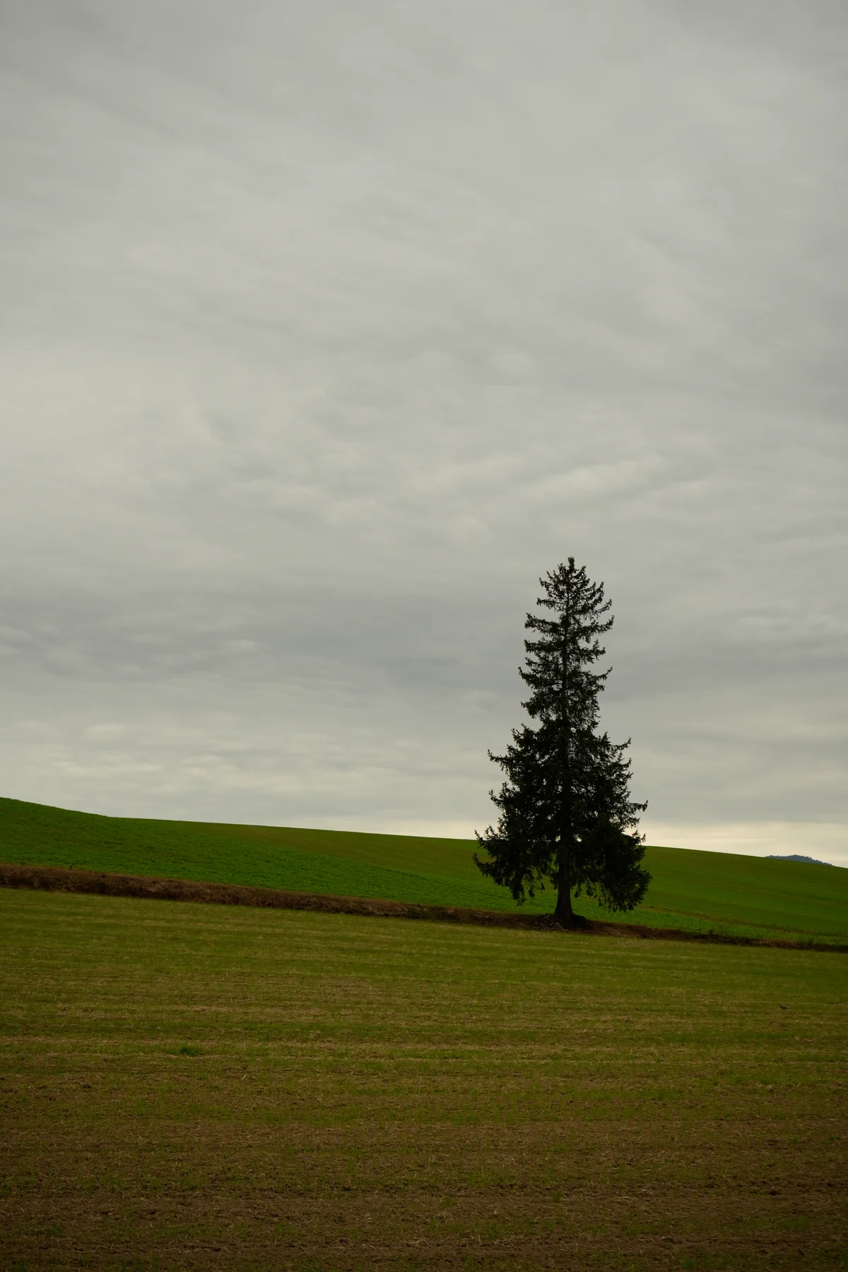 北海道 封面視覺