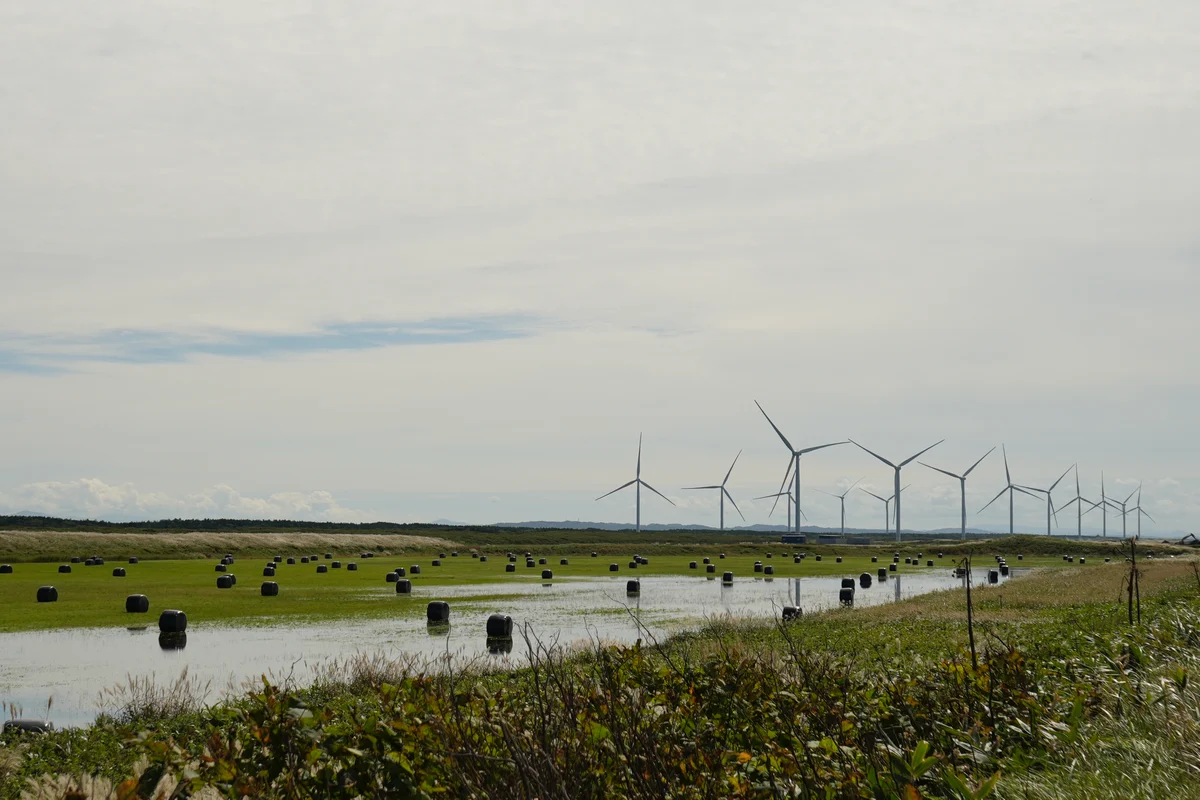 圖片 (_DSC6686.jpeg)