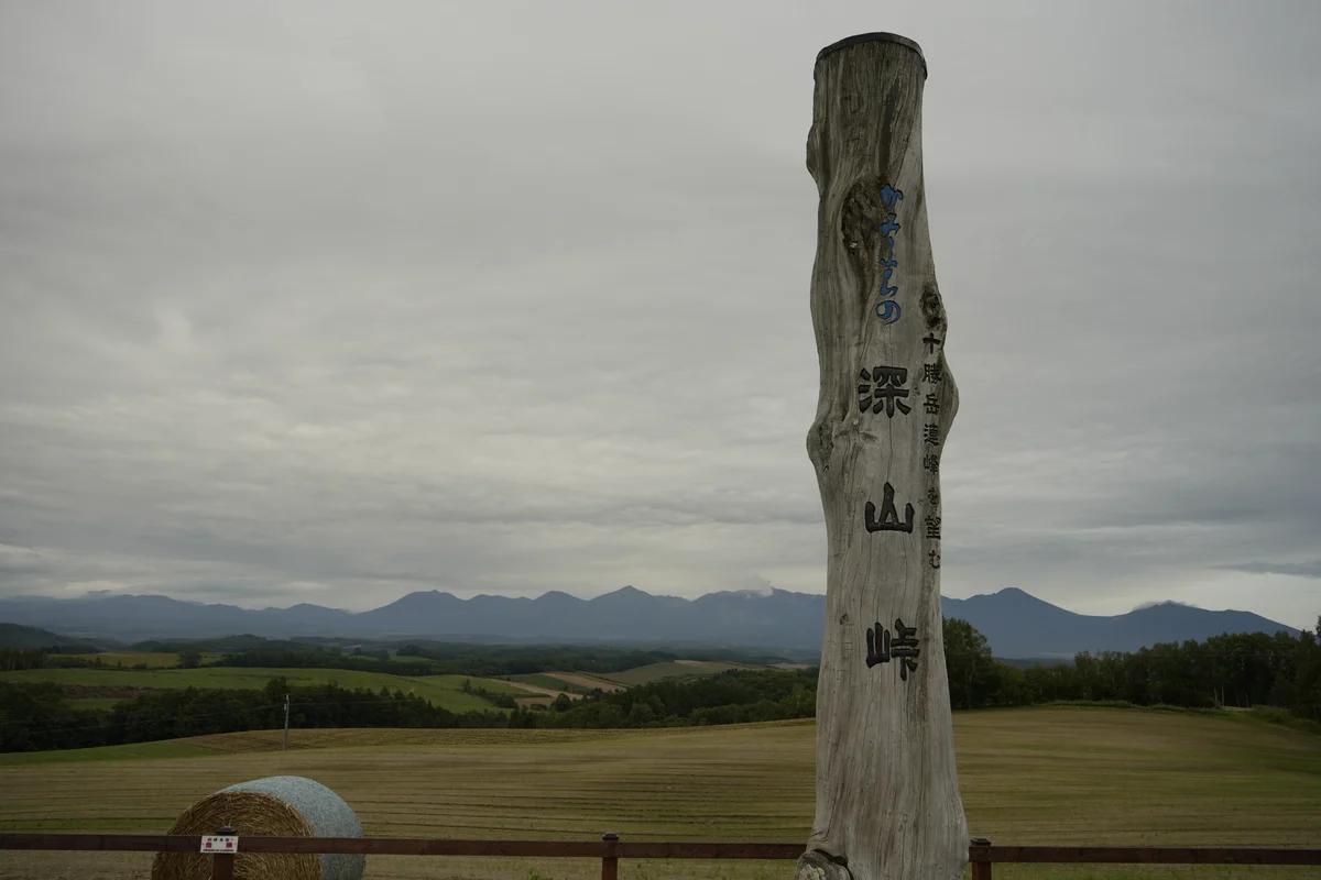 圖片 (_DSC6996.jpeg)