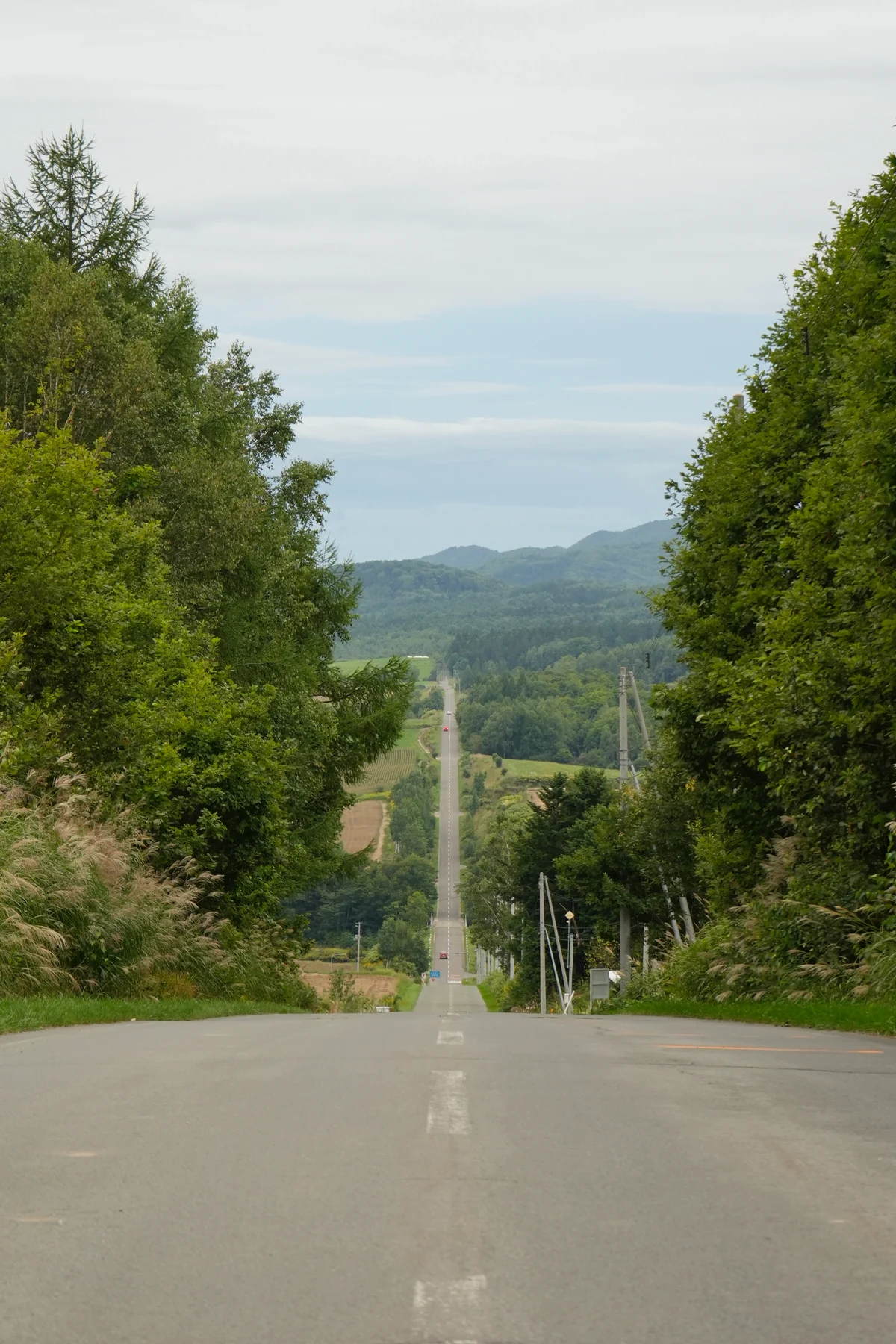 圖片 (_DSC6966.jpeg)