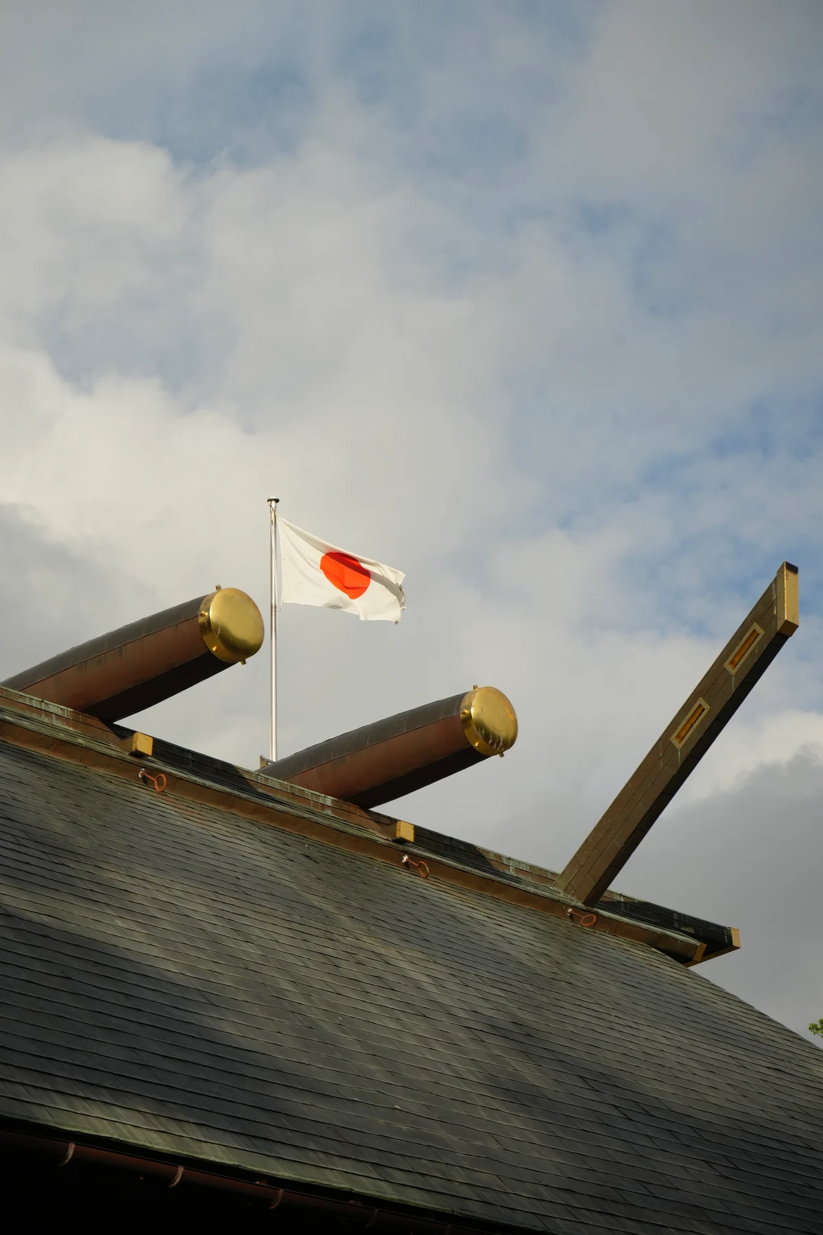 圖片 (_DSC7161.jpeg)