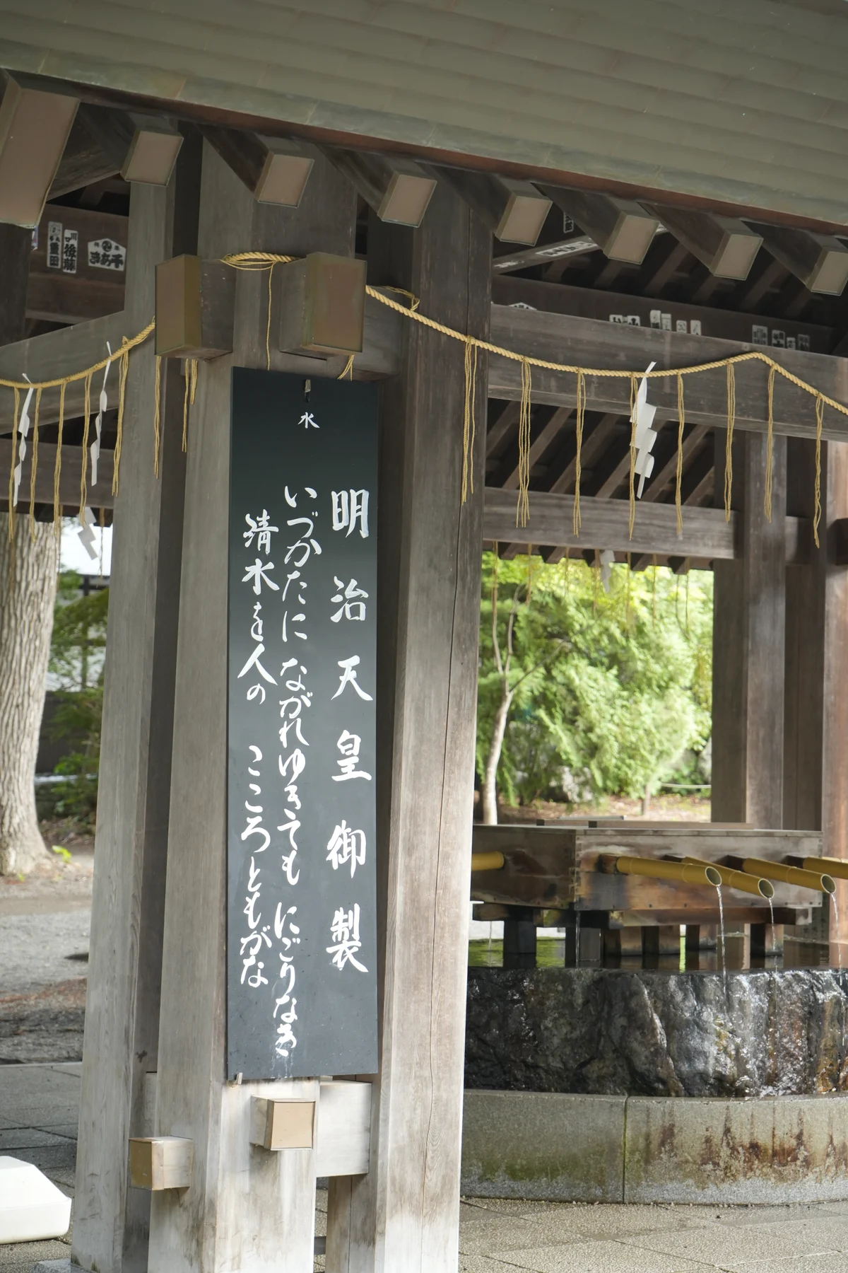 圖片 (_DSC7134.JPG)