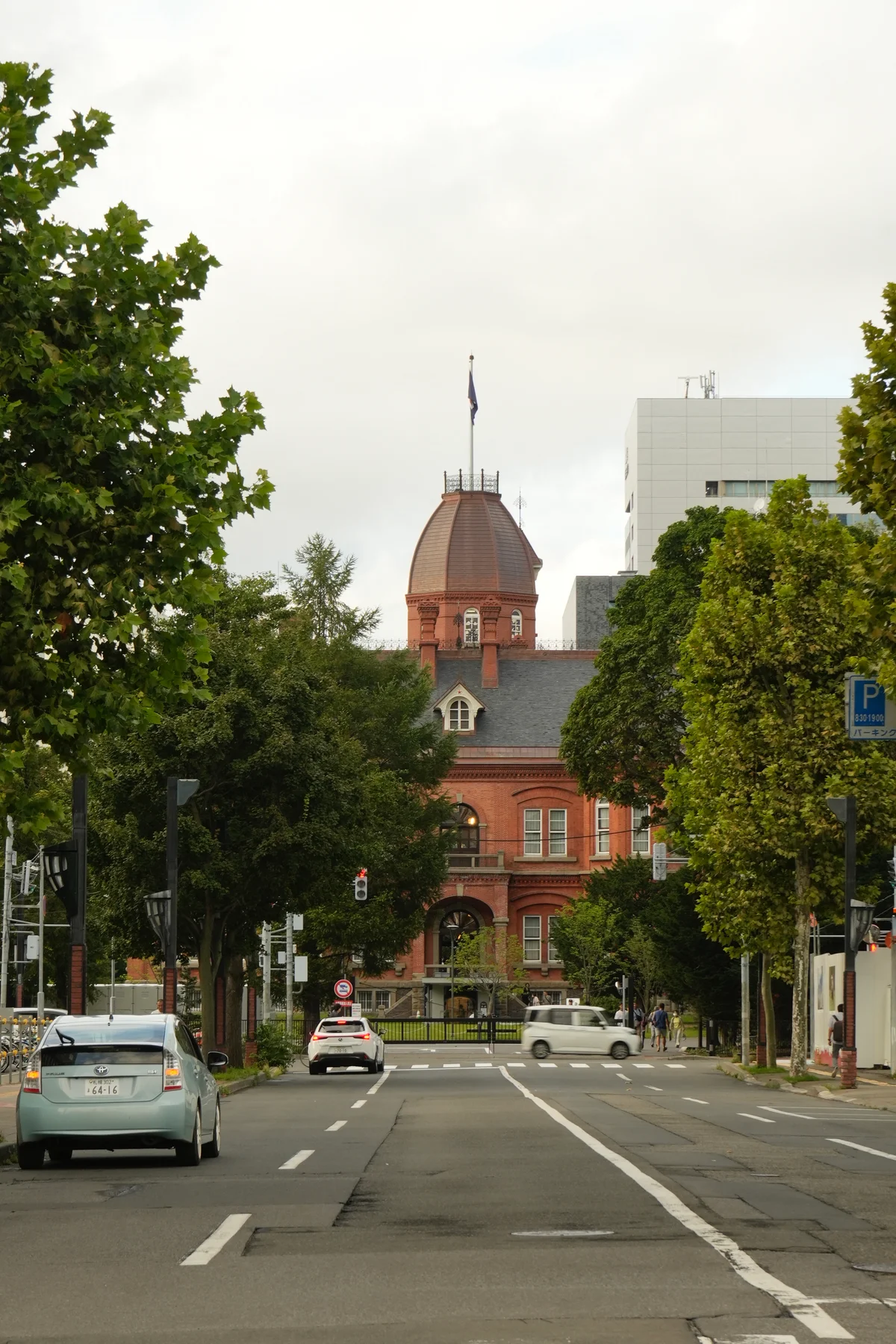 圖片 (_DSC7198.jpg)