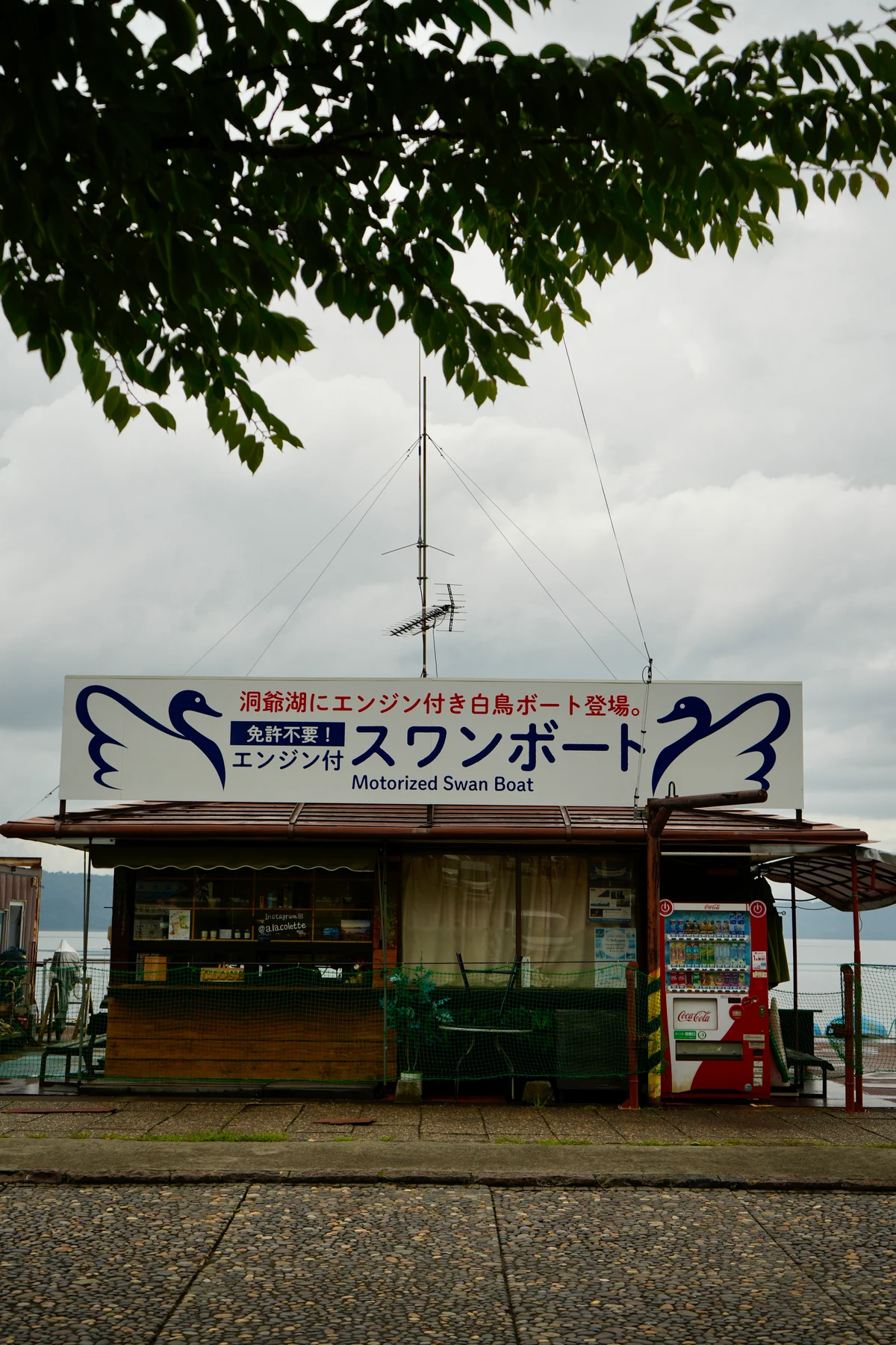 圖片 (_DSC7537.jpg)