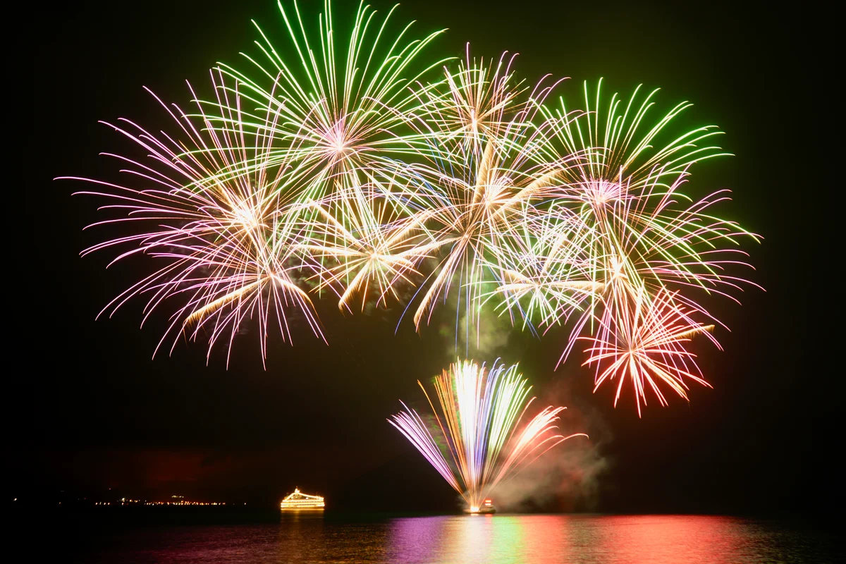 圖片 (_DSC7463.jpg)