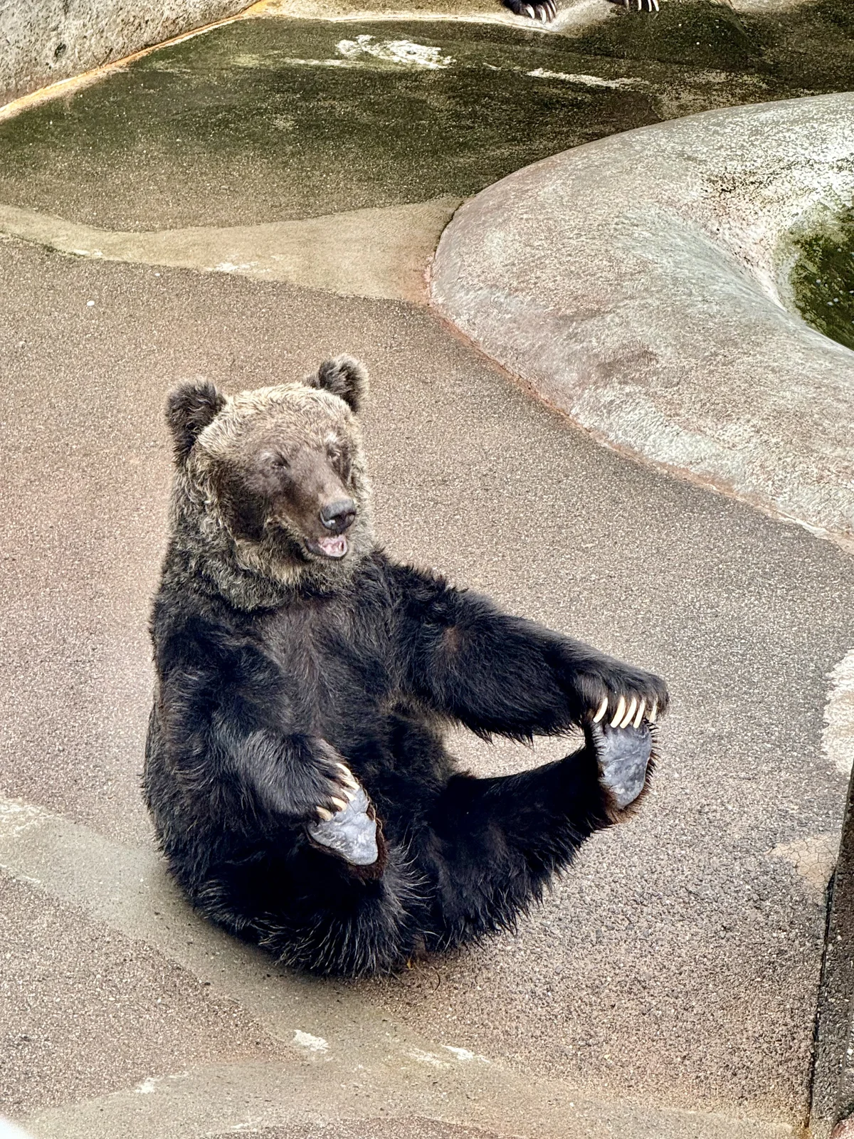 圖片 (IMG_9960.JPG)