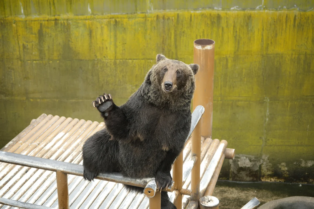 圖片 (_DSC7579.JPG)