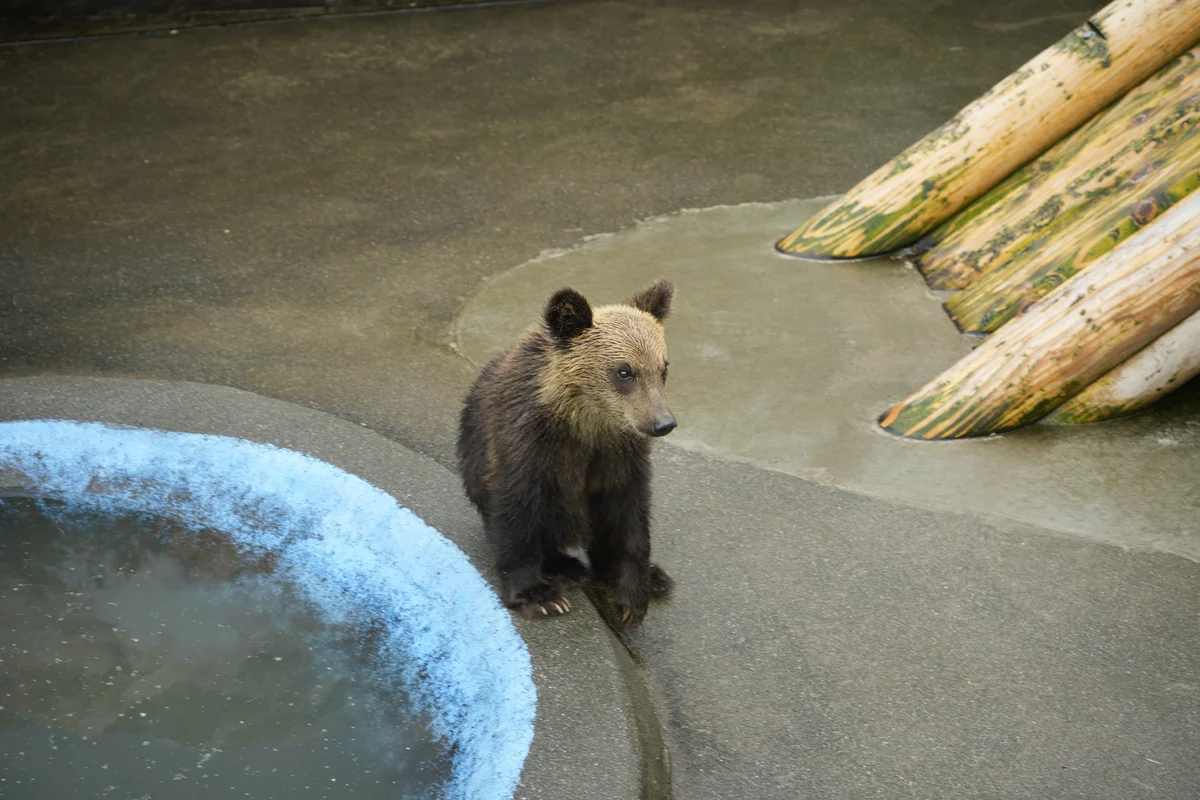 圖片 (_DSC7558.JPG)