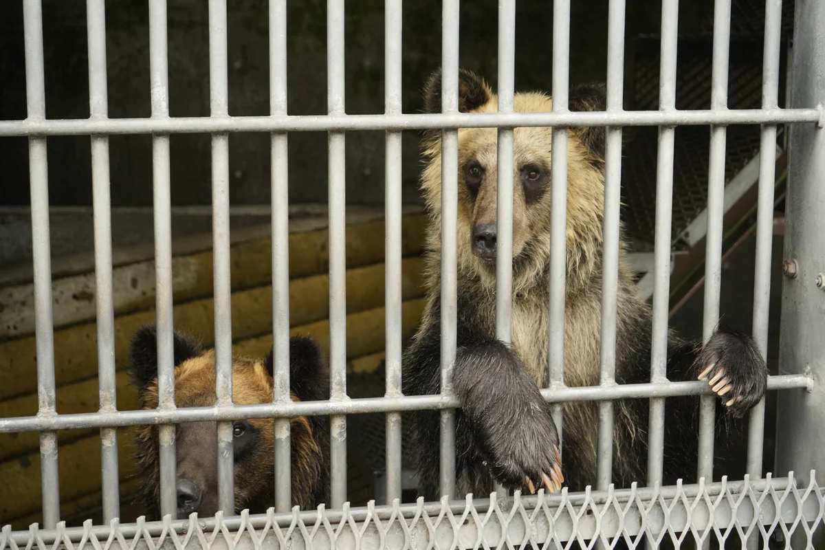 圖片 (_DSC7595.JPG)