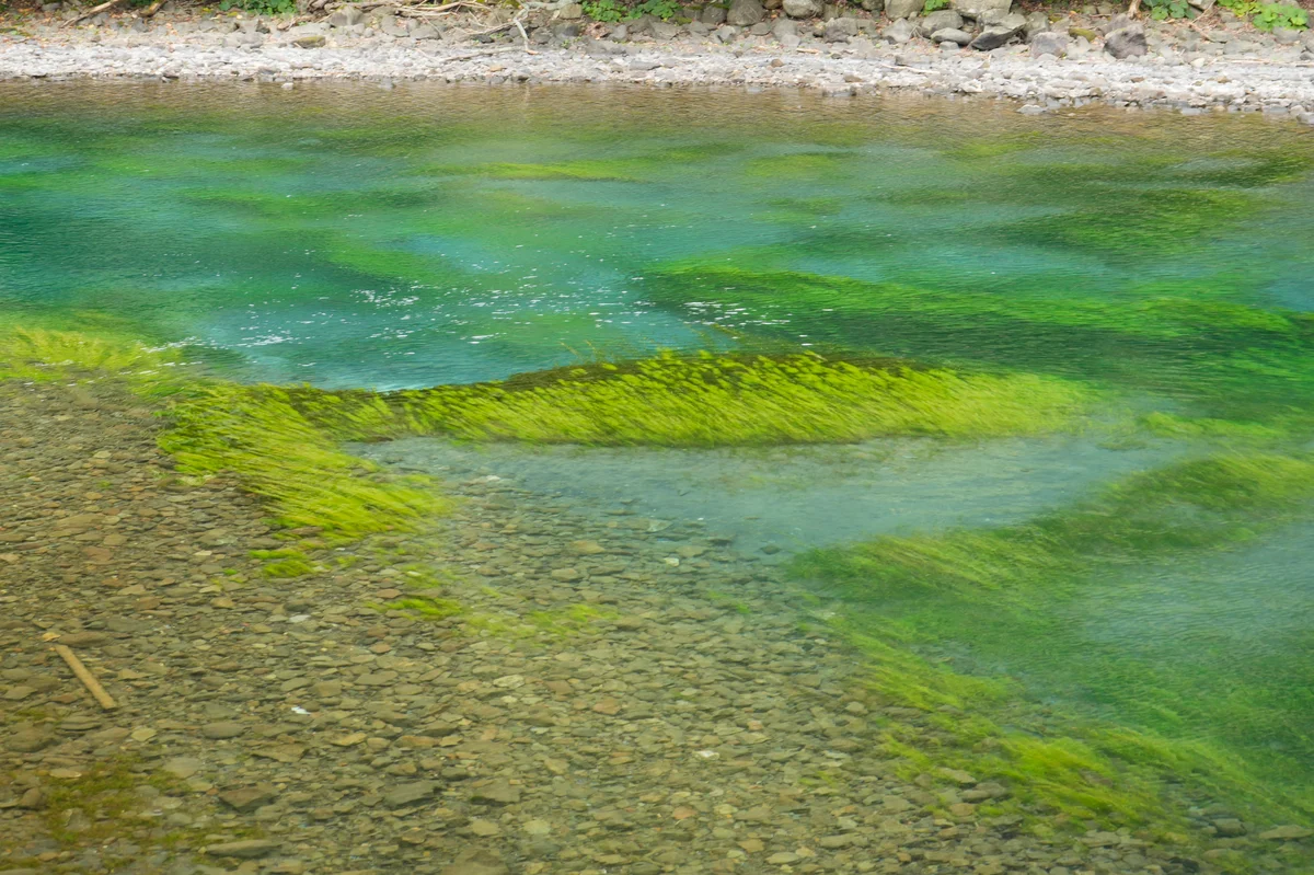 圖片 (_DSC7793.jpg)