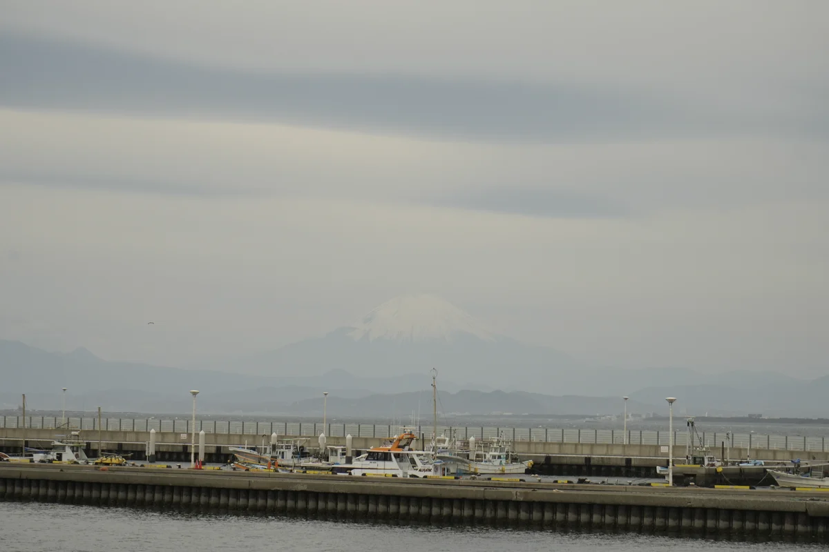 DSC8818