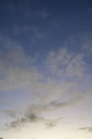 DSC4664