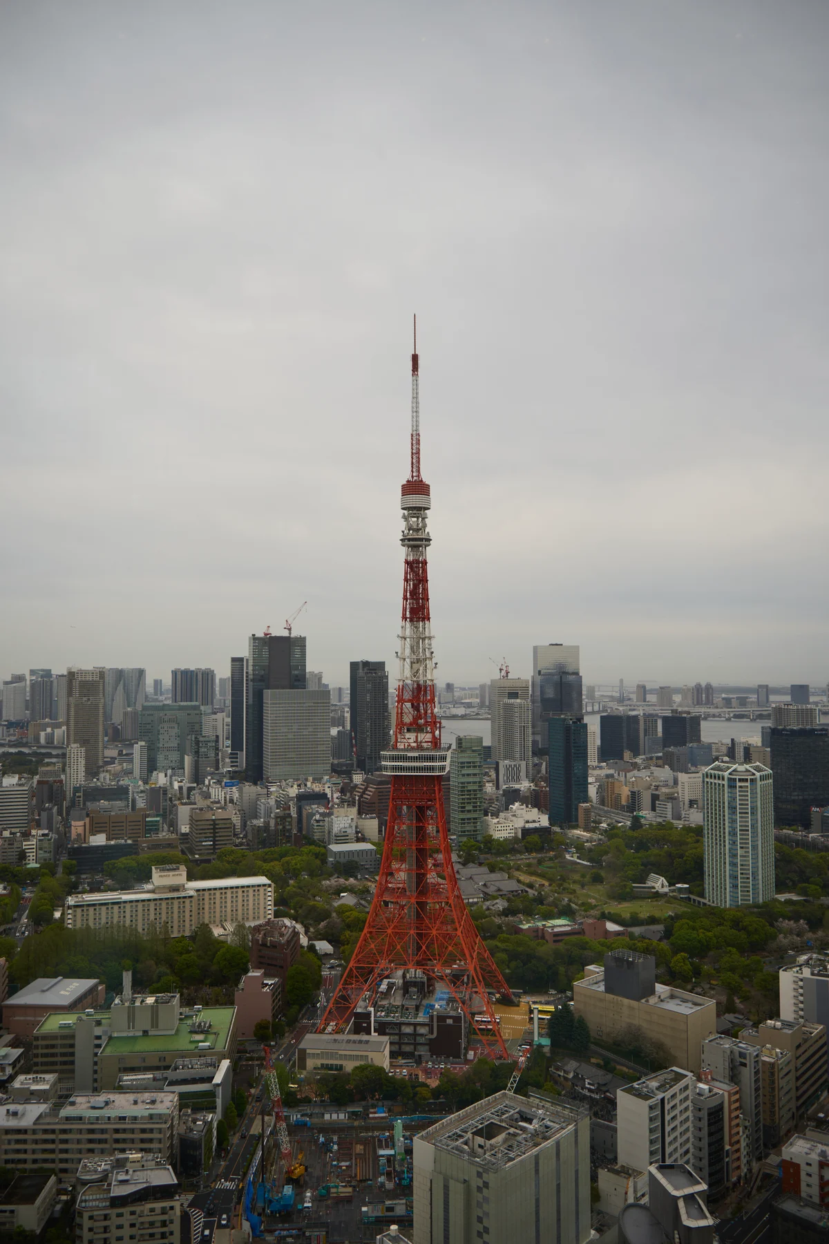 26 04 07 東京 DSC8426