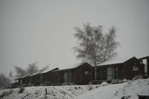DSC0804