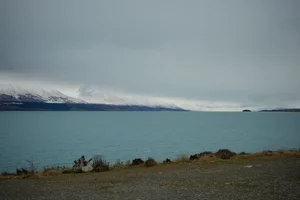DSC1236