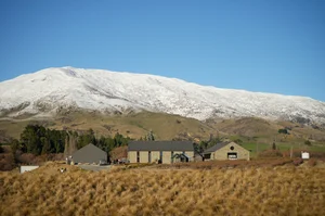 DSC2848
