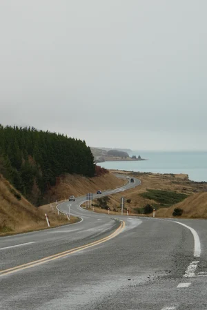 DSC1494