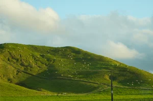 DSC4648