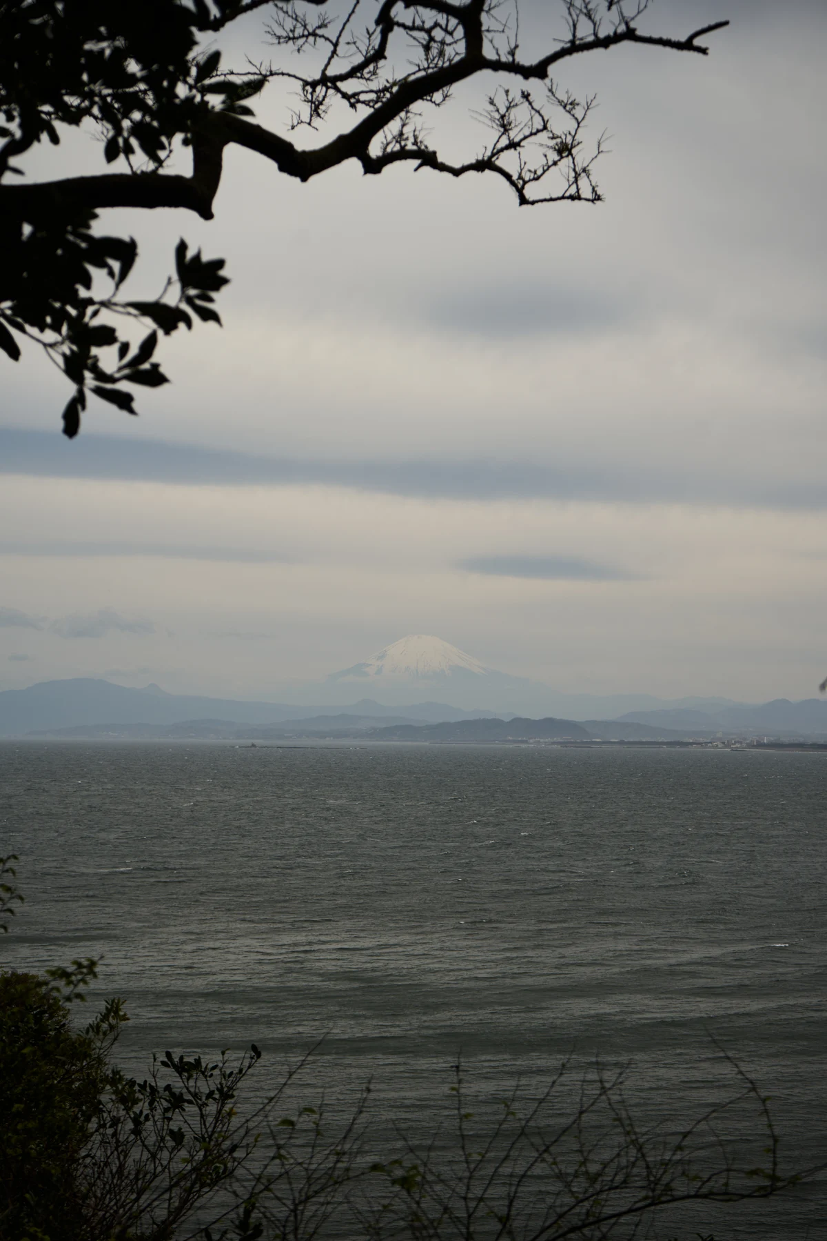 26 04 09 東京 DSC8857