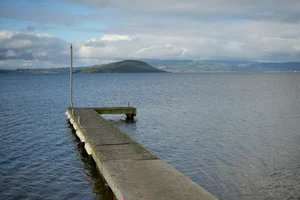DSC4565