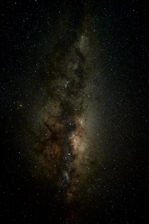 DSC2359