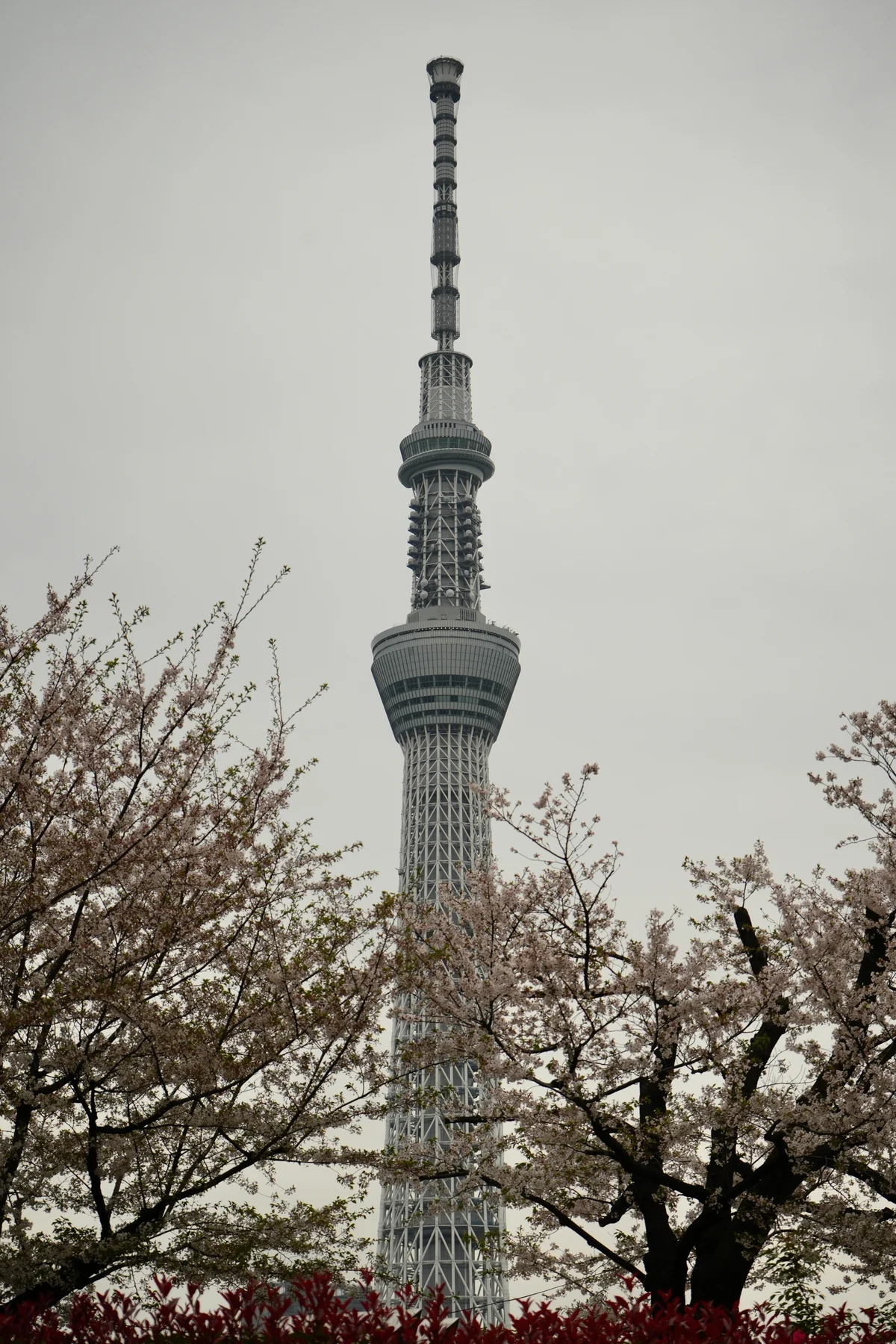 DSC8138