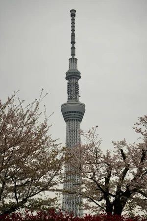 DSC8138