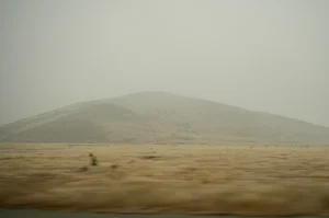 DSC0513