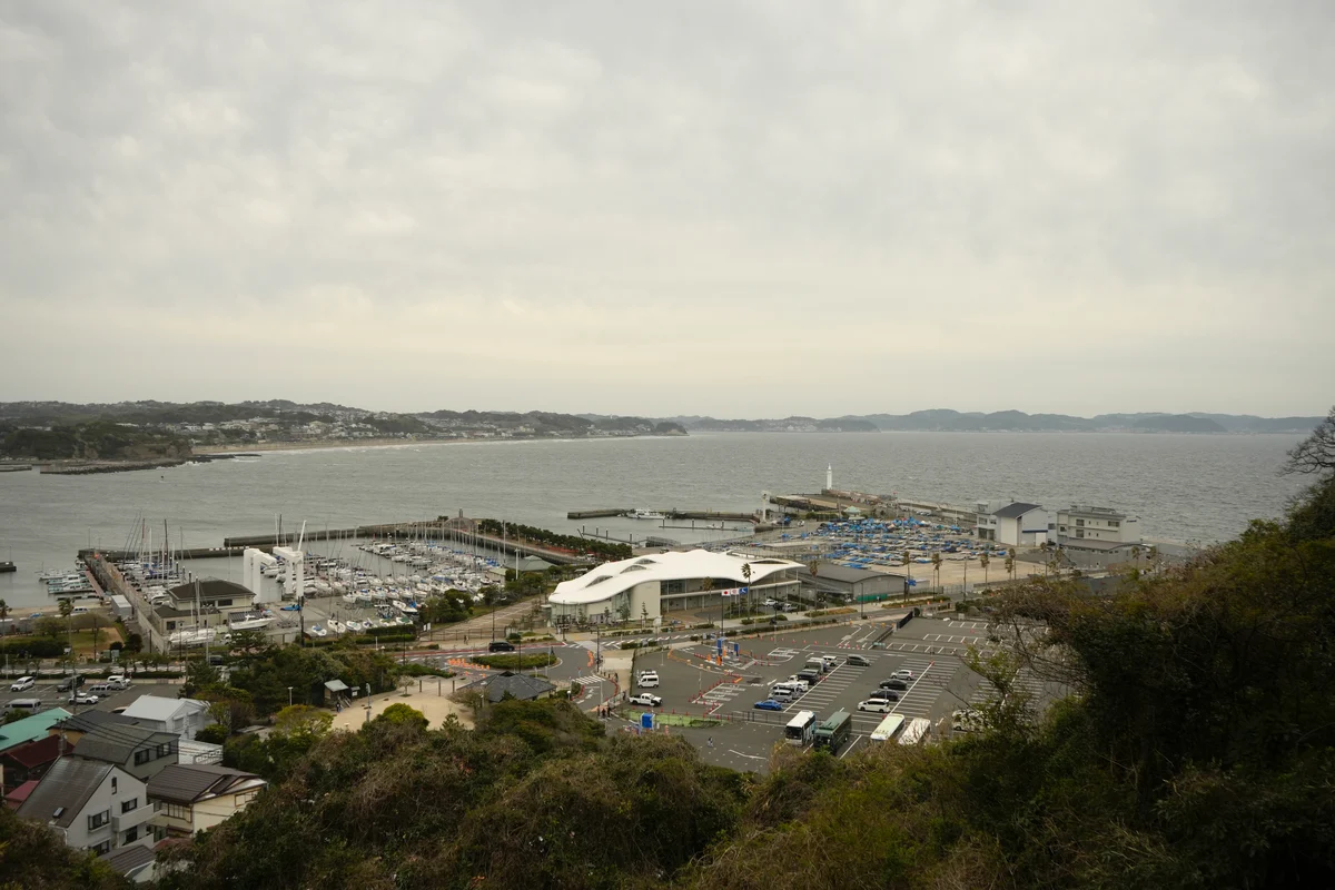 DSC8956