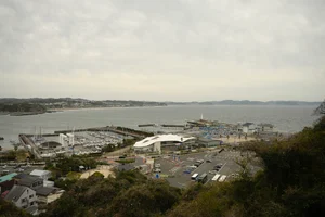 DSC8956