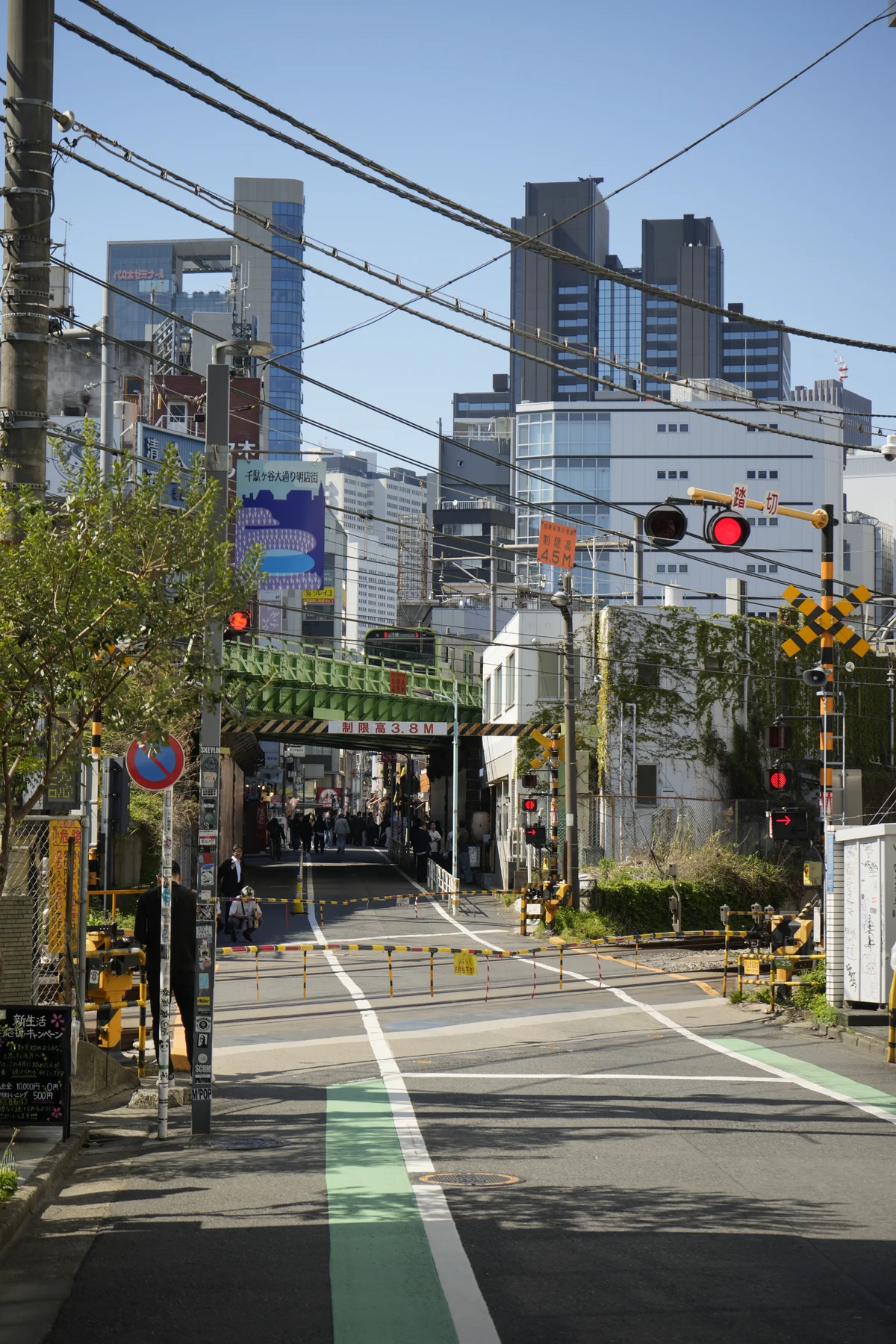 DSC8686
