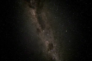 DSC2390