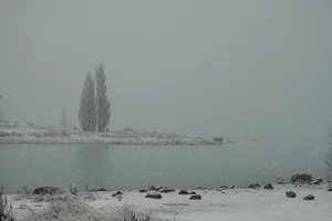 DSC0765