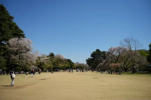 DSC8540