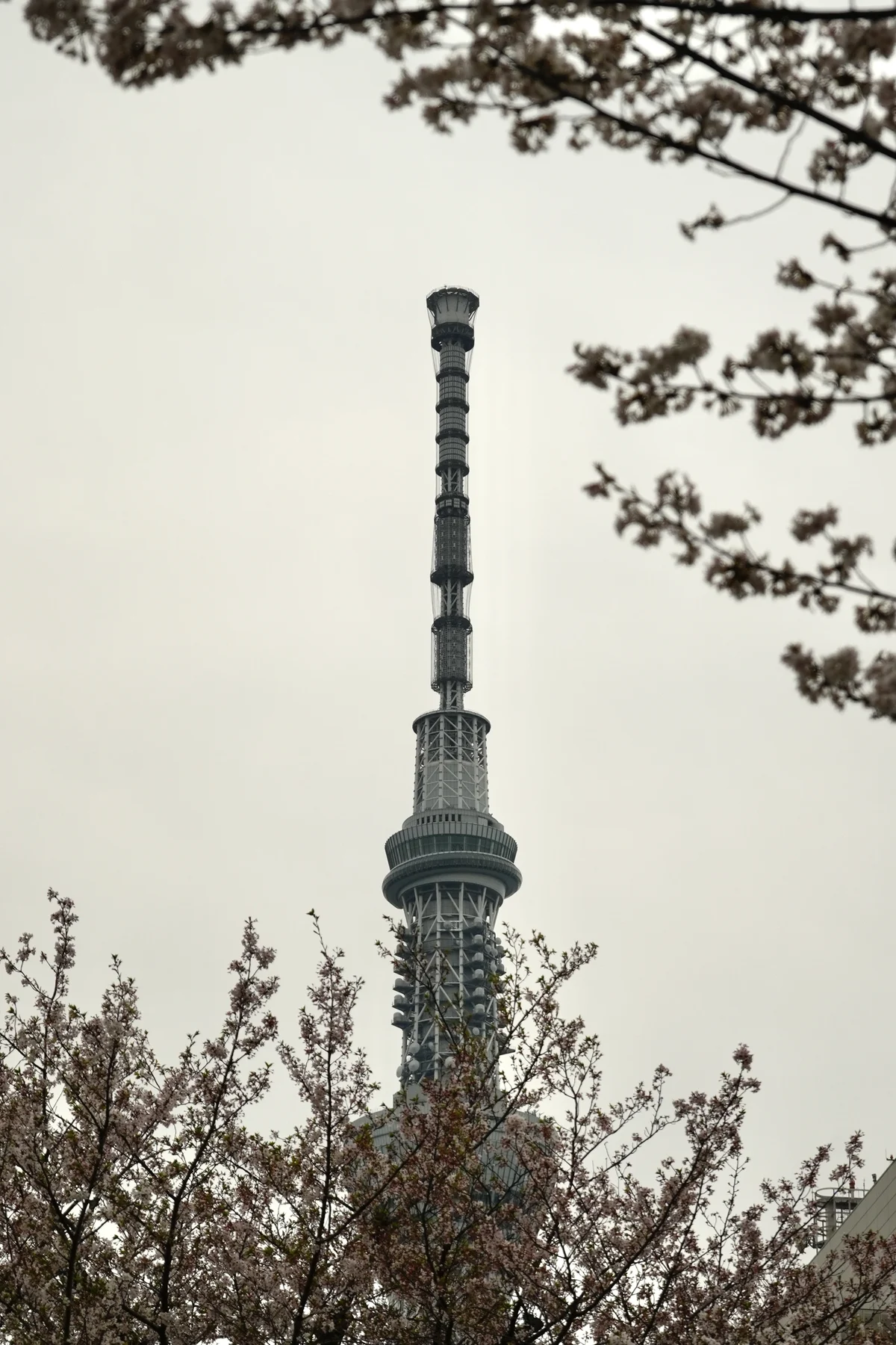 DSC8106